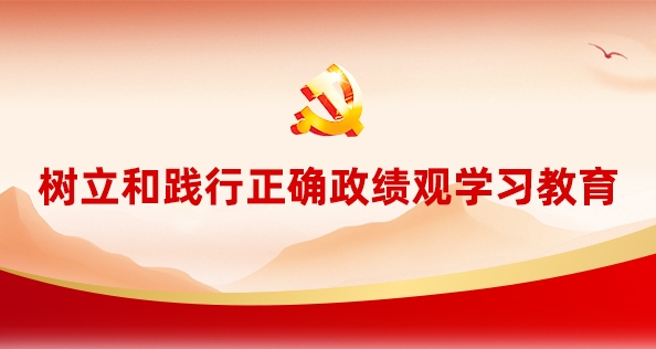 樹立和踐行正確政績觀學習教育