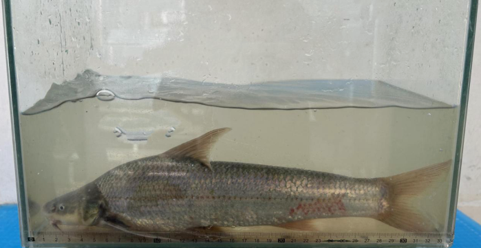 430e2051b37781ac15ae16e4cc62fcf0 430e2051b37781ac15ae16e4cc62fcf0